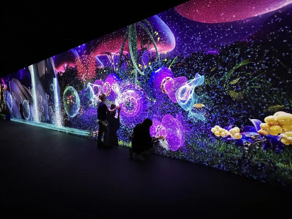 640 (13).jpg 640 (13).jpg